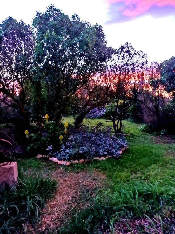 Arthouse Campos Mit Haus Galeria 110Qm Und Appartementhaus Mit Patio 30Qm Esterno foto