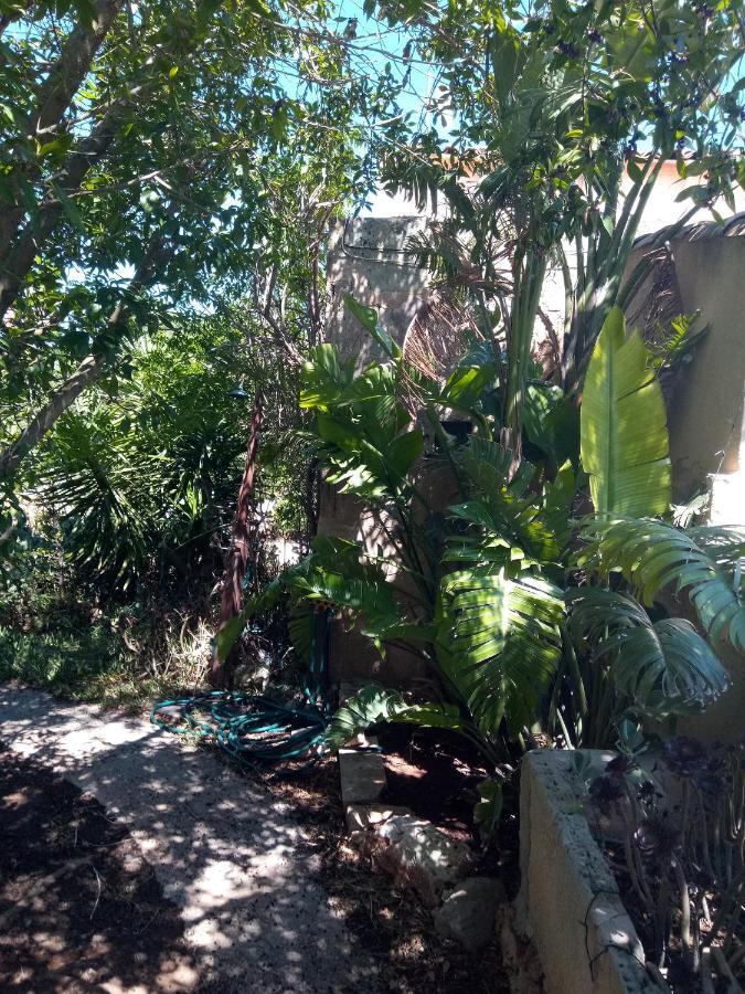 Arthouse Campos Mit Haus Galeria 110Qm Und Appartementhaus Mit Patio 30Qm Esterno foto